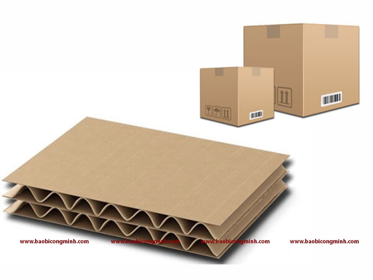 Carton 1 lớp, 2 lớp dùng làm gì? Những công dụng ít người biết